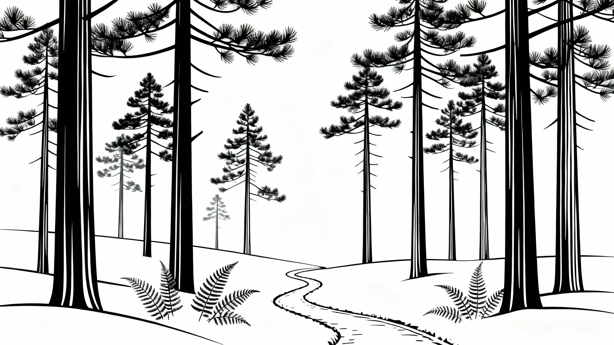 A clean, minimalist black and white line art illustration of a pine forest scene, presented on a stark white background.