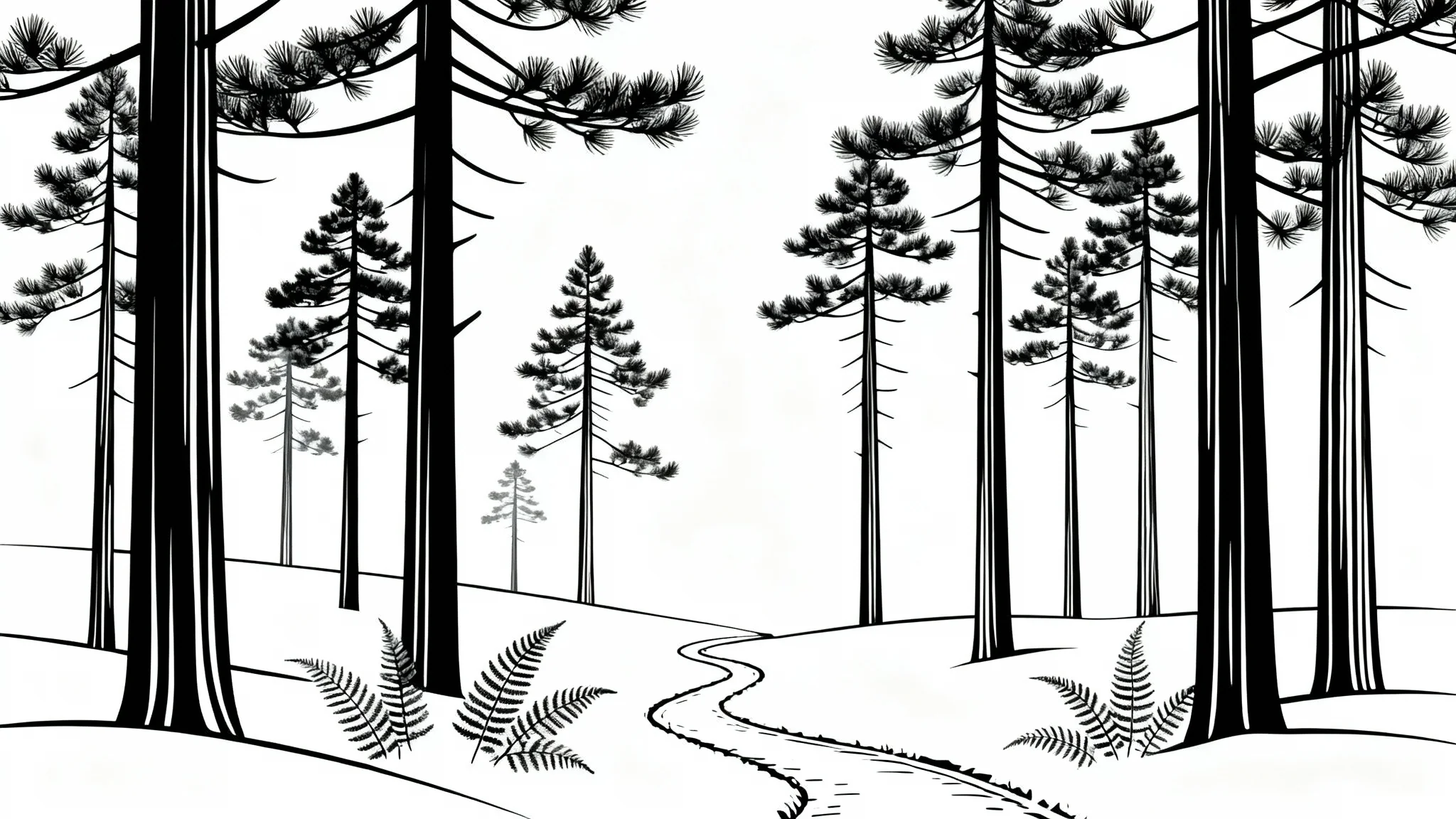 A clean, minimalist black and white line art illustration of a pine forest scene, presented on a stark white background.