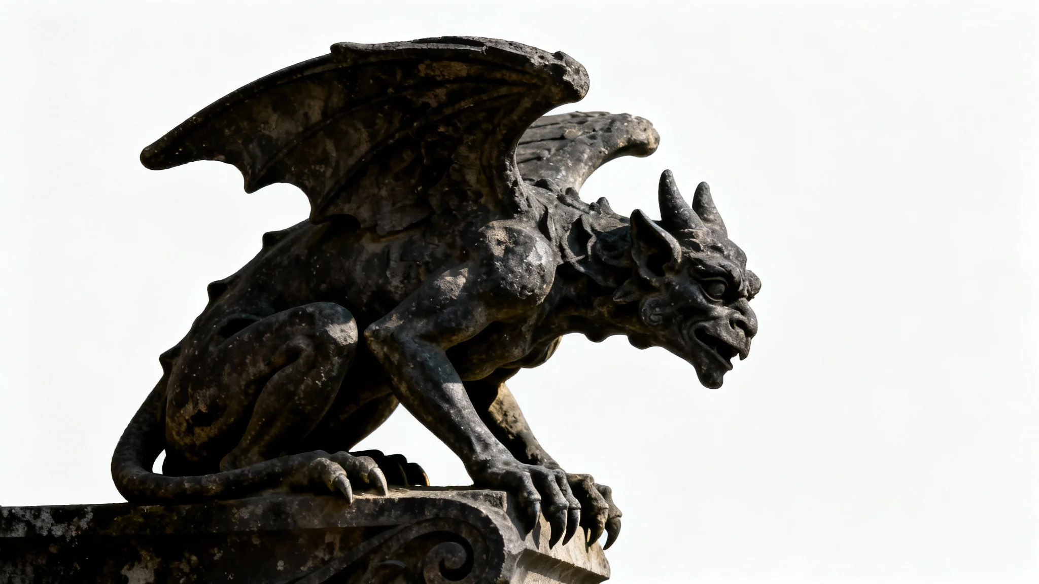 A detailed, dark stone gargoyle in a crouched pose, representing gothic art, isolated against a stark white background with dramatic lighting.