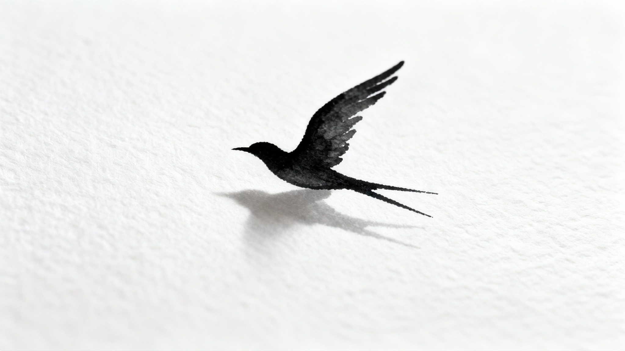A minimalist single line art drawing of a bird in flight, created with a continuous black line on a clean white background.