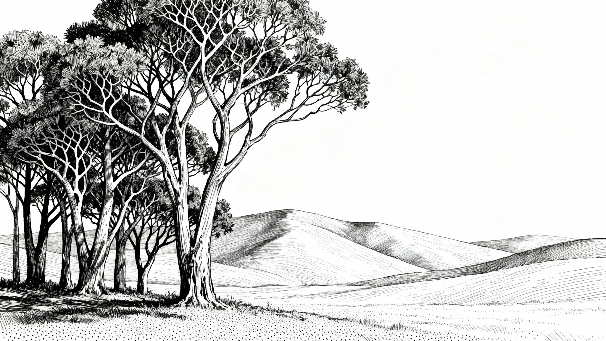 A highly detailed, professional black and white pen and ink drawing of a serene landscape. Intricate trees stand in the foreground against a backdrop of rolling hills, showcasing expert line work and shading.