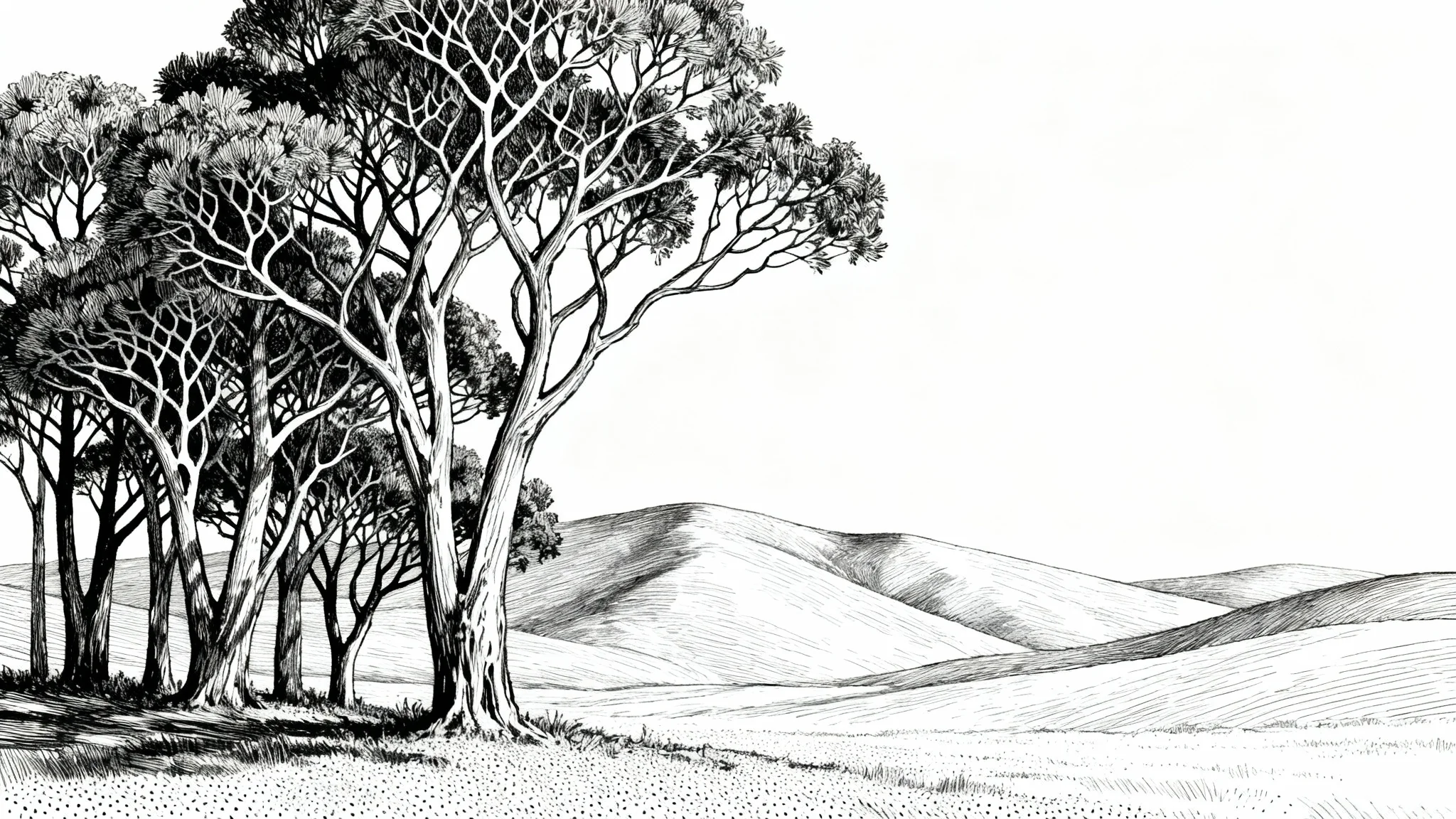 A highly detailed, professional black and white pen and ink drawing of a serene landscape. Intricate trees stand in the foreground against a backdrop of rolling hills, showcasing expert line work and shading.