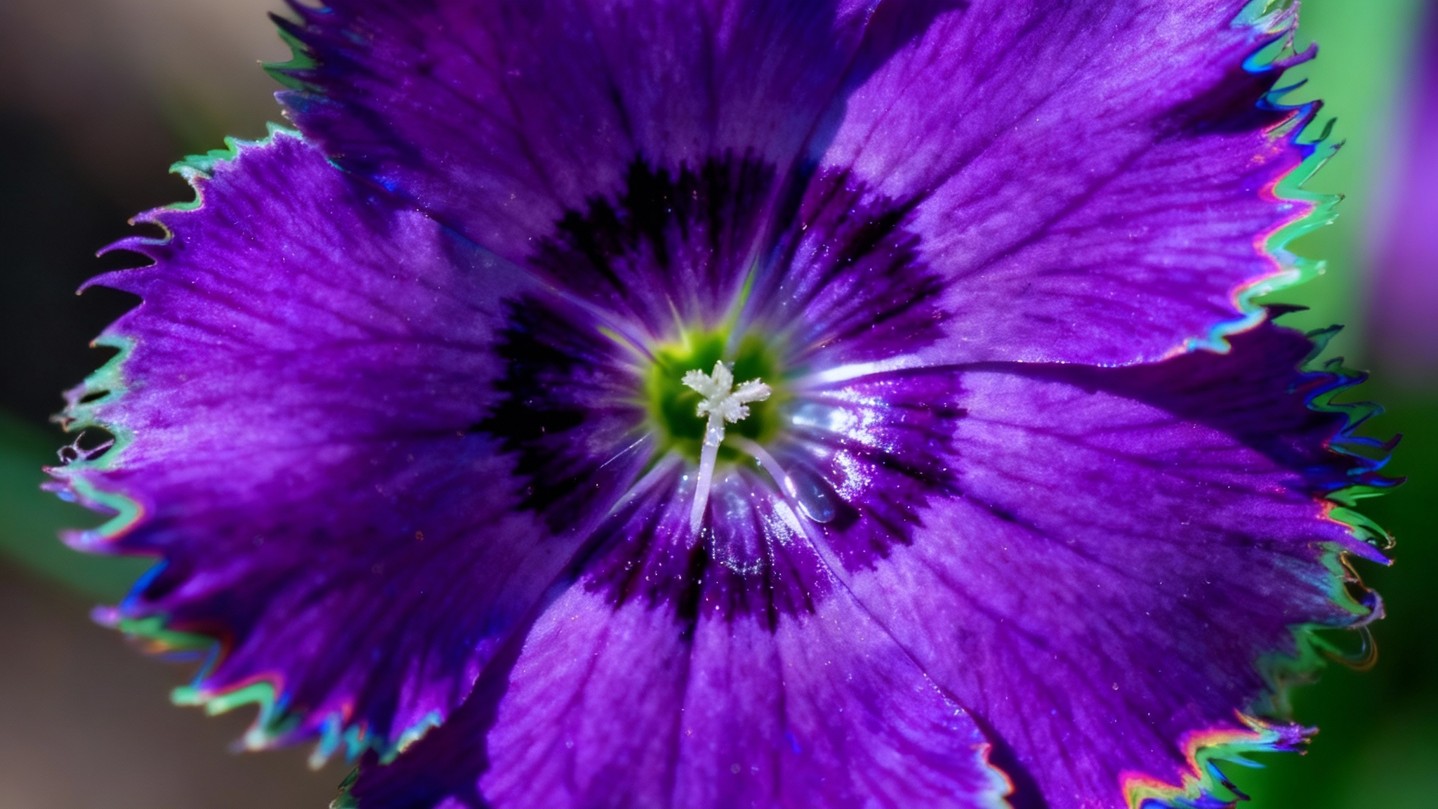 A vibrant, close-up photograph of a flower with perfectly sharp edges, demonstrating the clean and crisp result after removing chromatic aberration.