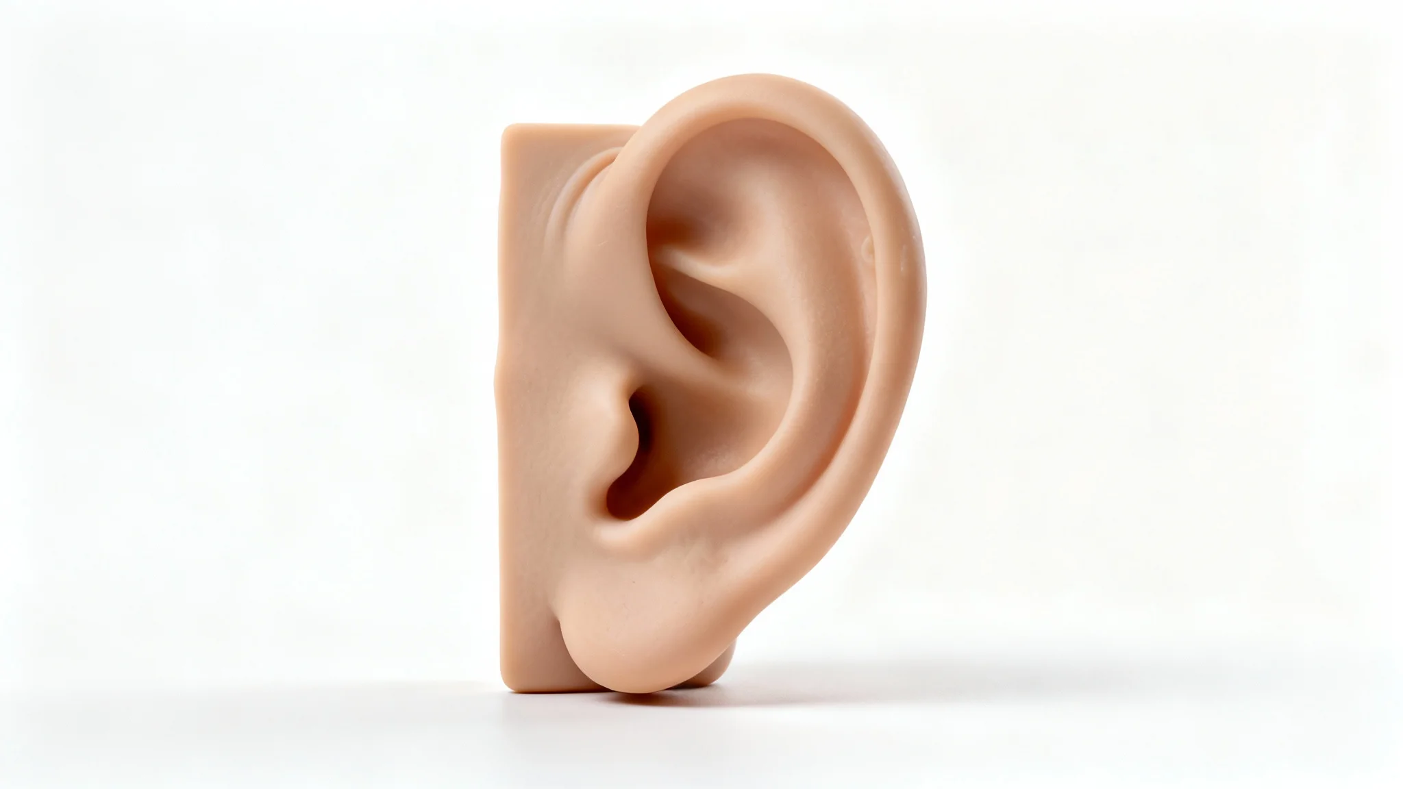 A hyper-realistic 3D model of a human ear for mockups, presented in a clean studio setting against a white background.