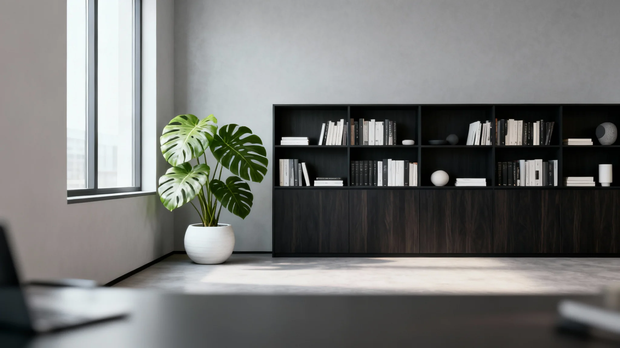 A modern and professional virtual office background featuring a sunlit room with a bookshelf, a large plant, and minimalist decor.
