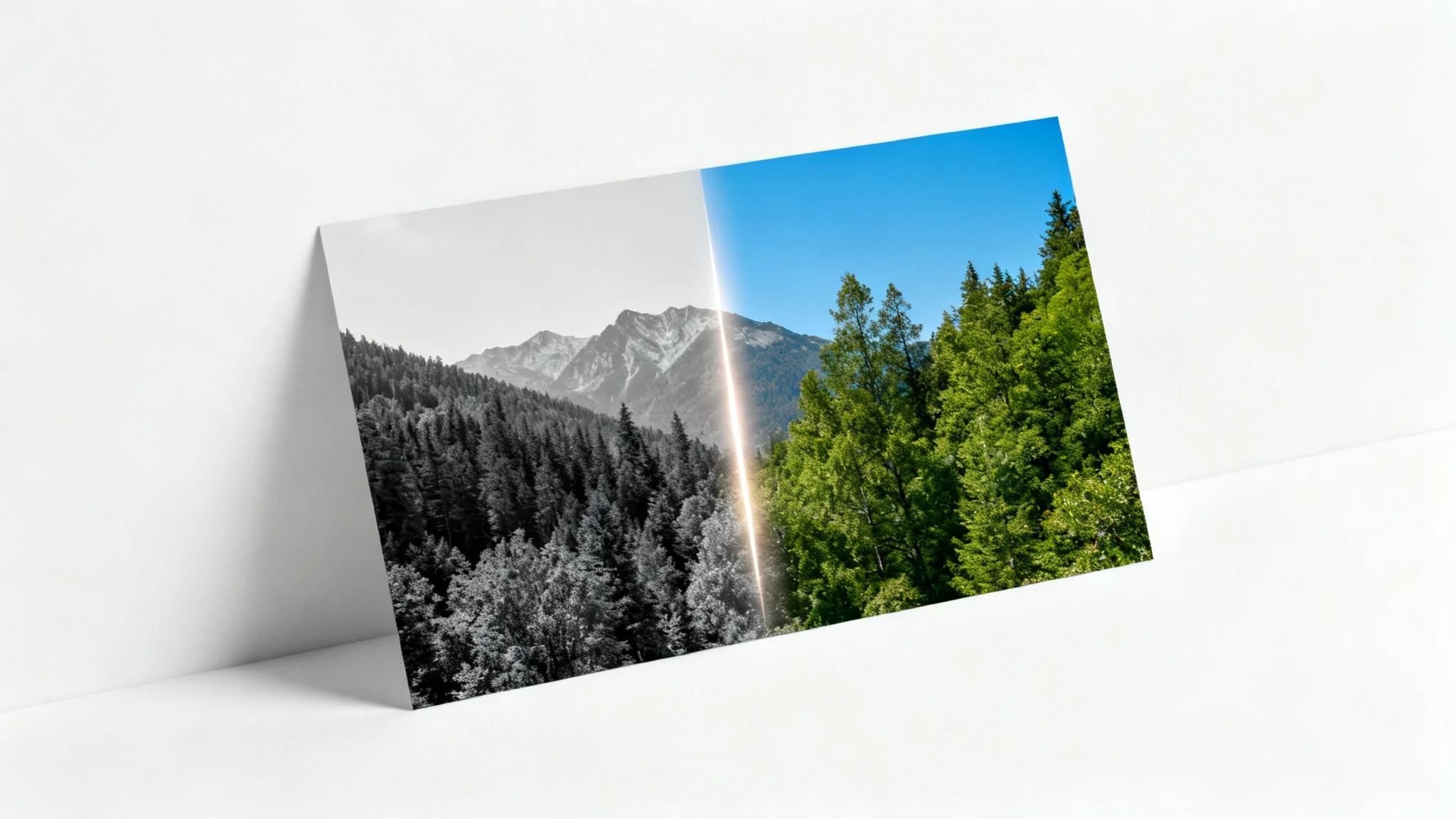 A photograph of a landscape being transformed, with the left side in black and white and the right side in vibrant color, demonstrating an undo photo edit feature.