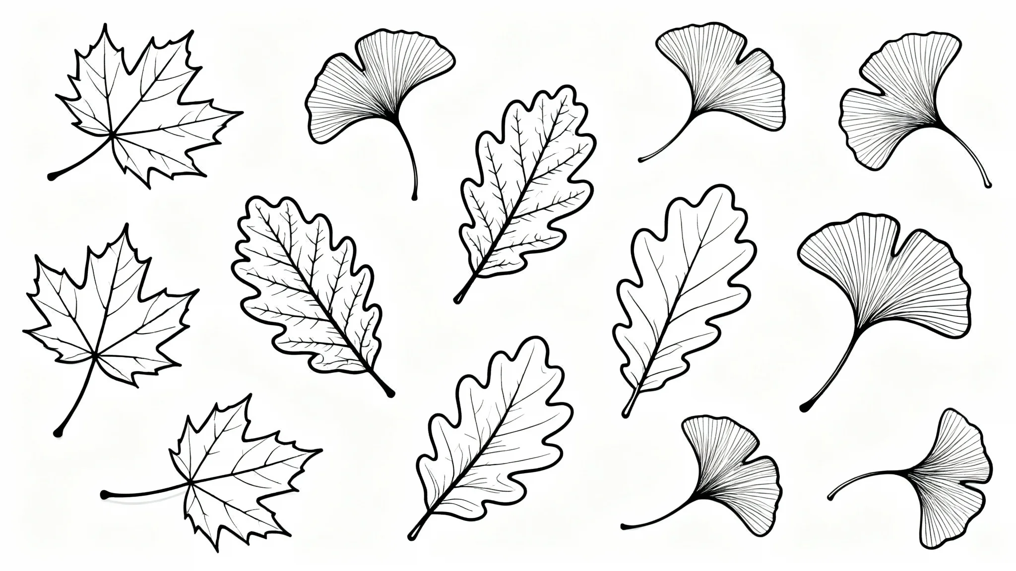 A minimalist black and white illustration showing the outlines of various autumn leaves, including maple and oak, scattered on a clean white background.