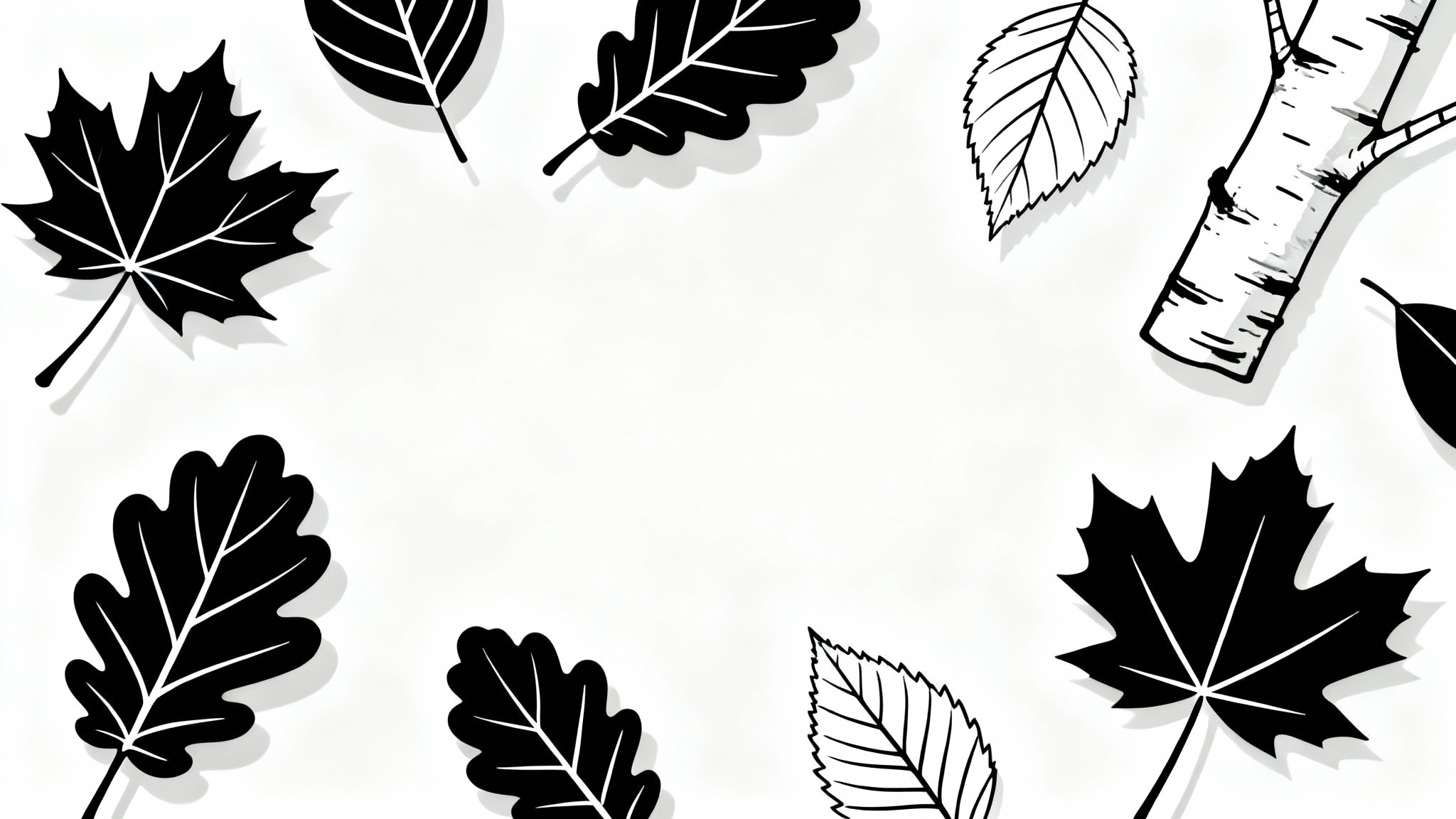 A collection of black line art outlines of various autumn leaves, such as maple and oak, scattered artistically on a clean white background.