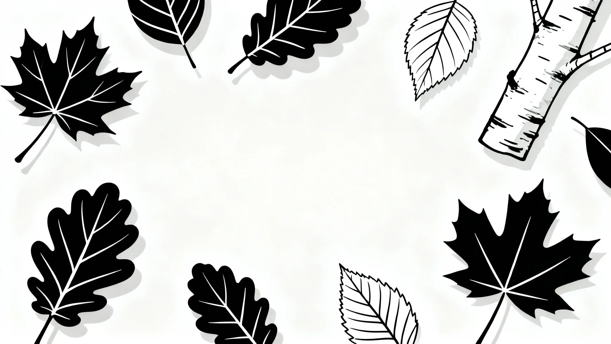 A collection of black line art outlines of various autumn leaves, such as maple and oak, scattered artistically on a clean white background.